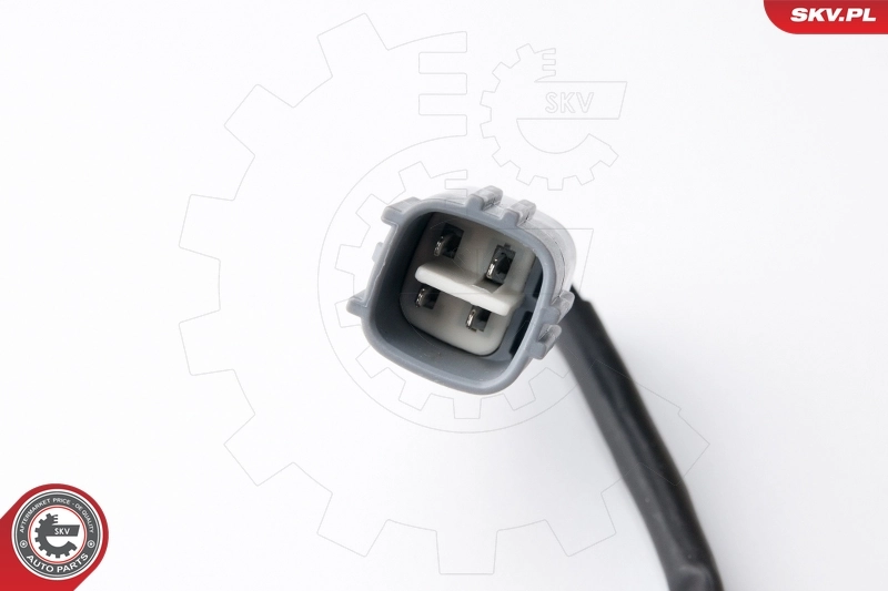Oxygen Sensor